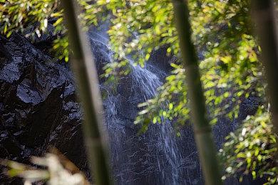 《卧龙：苍天陨落》开场动画 秦始皇寻药万物起源