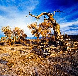 剧本杀谜案推凶！《子归》Steam商店页现已公开